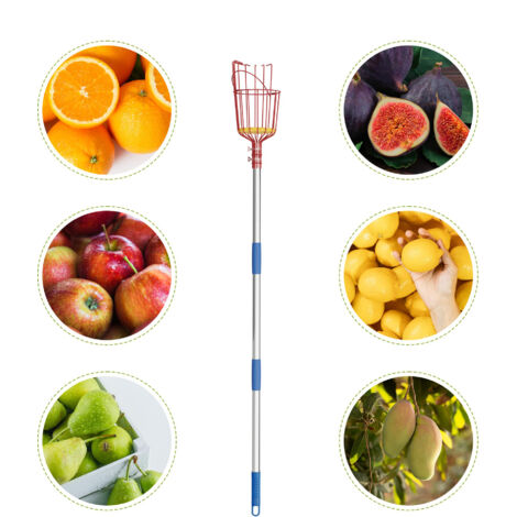 Cueilleur De Fruits Avec Panier - Outil De Récolte Pratique Pour Pommes, Avocats, Poires Et Pêches