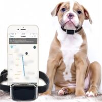 Collier GPS Tracker pour chien