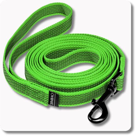Laisse antidérapante VERTE - 10 m, 76 mm - chien 10-25 kg (1/5)