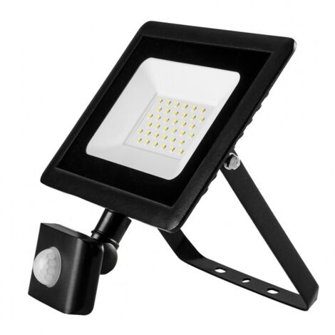Projecteur avec détecteur de mouvement SMD 30 W 2400 lm 230 V - T N99-049 (1/5)