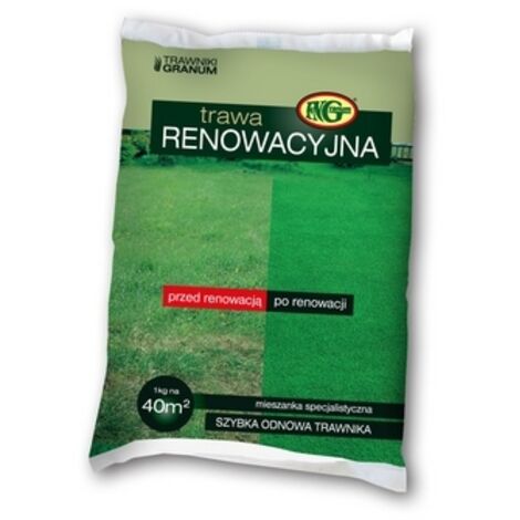 Gazon comme peint - Mélange de rénovation 1 kg FNGranum (1/2)
