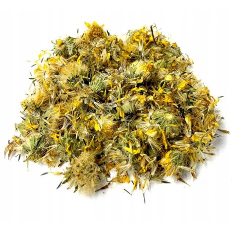 ARNICA DE MONTAGNE FLEUR D'ARNICA 50 G 100 % NATUREL