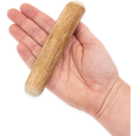 4DOGS Cinnamon Tree Chew Taille S (1/5)