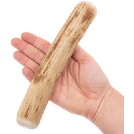 4DOGS Cinnamon Tree Chew Taille L (1/5)