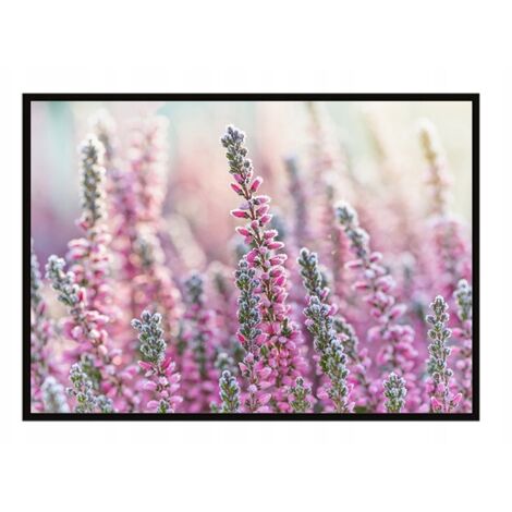 AFFICHE PHOTO ENCADRÉE 53x73 cm Prairie P1638 (1/3)