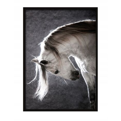IMAGE, AFFICHE ENCADRÉE 73x53 cm Cheval P506 (1/4)