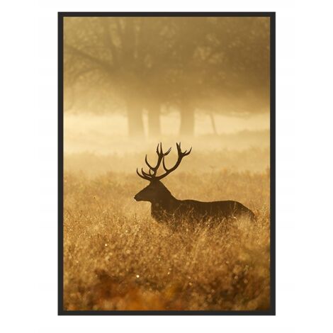 AFFICHE PHOTO ENCADRÉE 53x73 cm Cerf Doré Pio P661 (1/4)