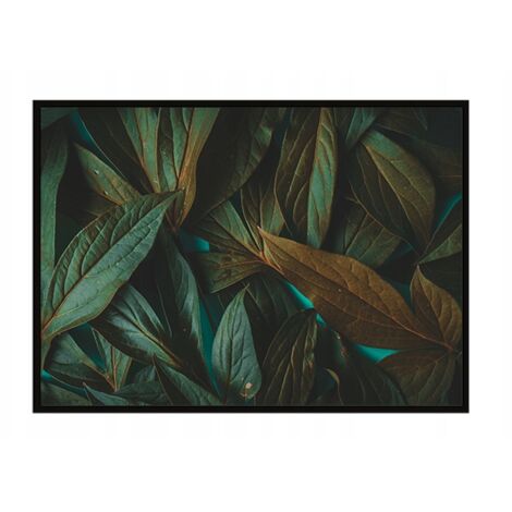 AFFICHE PHOTO ENCADRÉE 53x73 cm Feuilles P1125 (1/3)