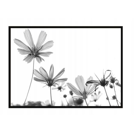 AFFICHE PHOTO ENCADRÉE 53x73 cm Fleurs P1057 (1/3)