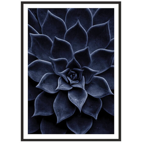IMAGE, AFFICHE ENCADRÉE 53x73 cm Feuilles P2011 (1/4)