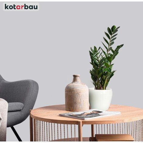 KOTARBAU Lot De 2 Pots De Fleurs Céramique 13 Cm Blanc Lisse - Cache-Pot Classique Et Élégant