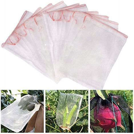 Sacs de protection pour fruits, légumes et insectes nuisibles (50 unités) (1/5)