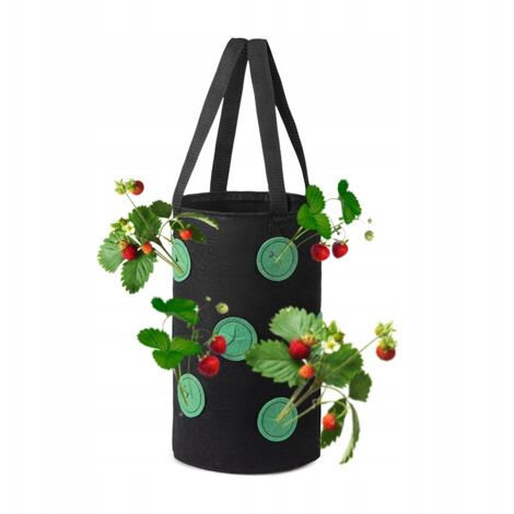 Sac pour pot suspendu, poulet, tomates, fraises, poches à fraises 35 (1/5)