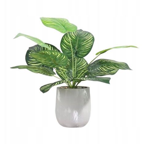 Fleur artificielle en pot pour bureau à domicile, style réaliste, 37 cm, Calatea (1/5)