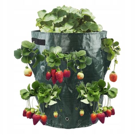 Pot de fleurs CASCADE Sac pour légumes suspendus, fraises, poches à fraises 35 cm