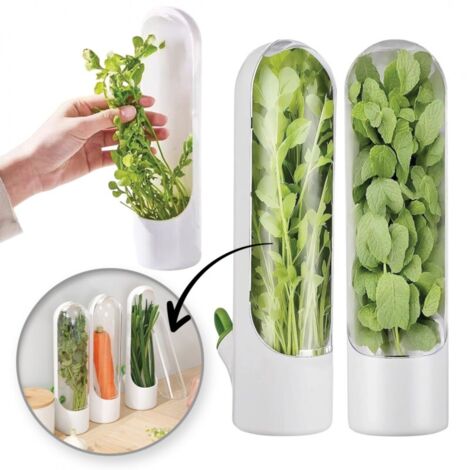 Conteneur de stockage d'herbes et de légumes frais pour réfrigérateur