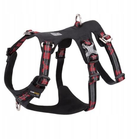 Harnais anti-fuite pour chien de garde Winhyepet S (1/5)