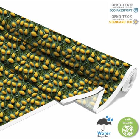 TISSUS DÉCORATIFS D'EXTÉRIEUR OXFORD - Motif Fruits DX6061 (1/5)