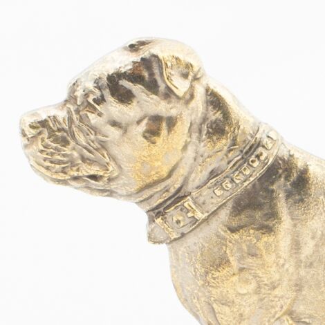 Staffordshire Bull Terrier, Staffie Ou Staffy - Race De Chien Et Chiot