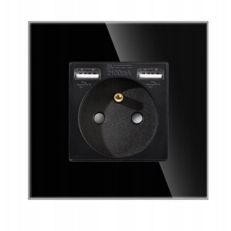 PRISE SIMPLE EN VERRE 2x CONTACT USB-A 16A (1/4)