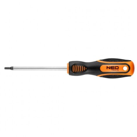 Tournevis Torx T20 x 100 mm (1/5)