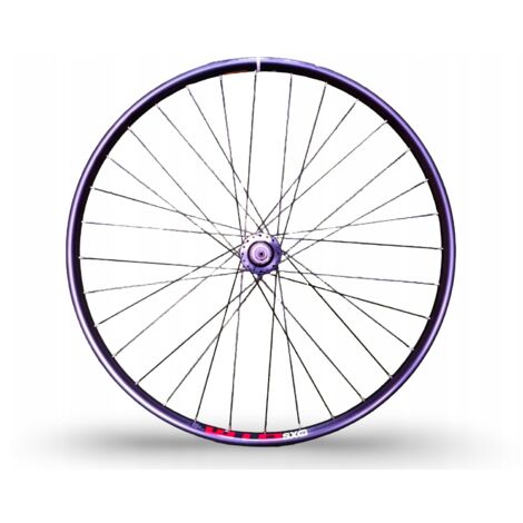 Roue de vélo WTB SX19 29" ETRTO 19-622, roue libre à disque 6 trous, axe QR 9x135 mm