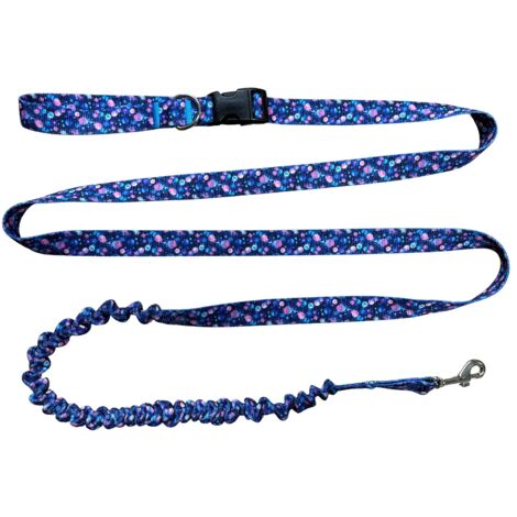 Laisse pour chien avec absorbeur de choc, 280 cm, motif AstroŚwiat, réglable (1/4)