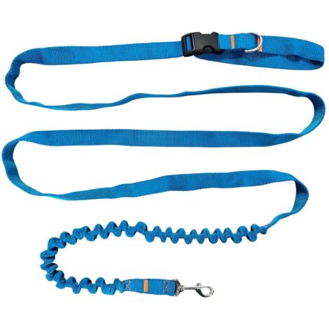 Laisse pour chien avec absorbeur de choc 380 cm TURQUOISE Réglable Mains Libres Fabriquée en Pologne (1/5)