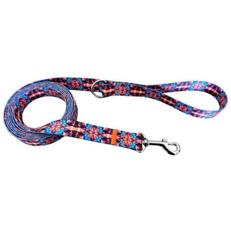 Laisse traditionnelle et robuste pour chien, fabriquée à la main par Fuzja XL - 250 cm (1/5)