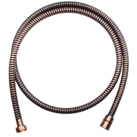 Flexible de douche pivotant en cuivre AWD INTERIOR 1645 de 154 cm (1/3)