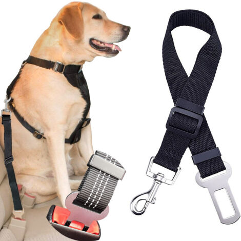 Ceinture de sécurité, laisse de voiture pour chien ou chat
