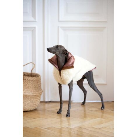 Gilet en laine pour chien - Blanc 3 (1/5)