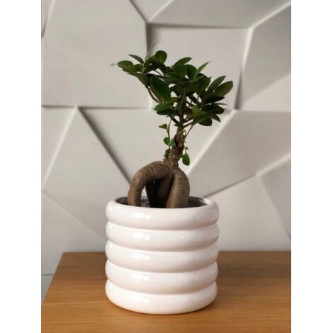 Pot de fleurs cylindrique en céramique 13 cm blanc (1/2)
