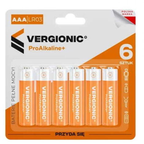 Piles alcalines 6 pièces AAA R03 universelles (1/5)