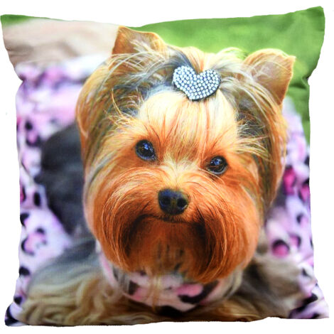 Taie d'oreiller en velours 40/40 Taies d'oreiller décoratives Matière douce DOG (1/5)