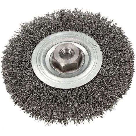 Brosse.disque.120 filetage14 PL (1/5)