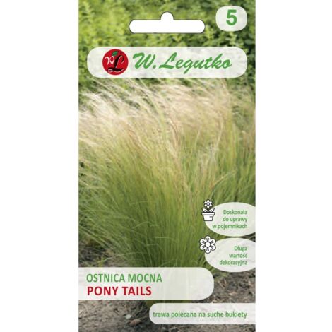 Graines de Stipa spp. (queues de cheval) - vertes 50 g (1/2)