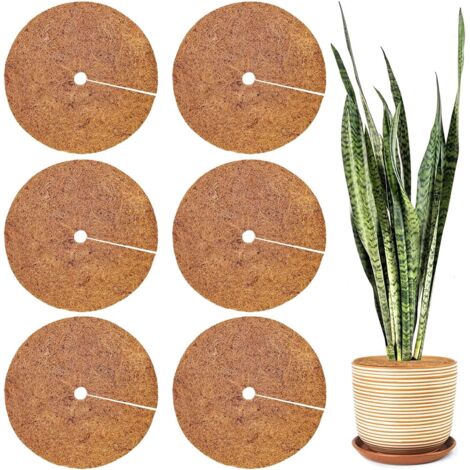 Lot de 6 disques en noix de coco pour la protection des plantes (1/4)