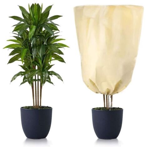 Housse de protection hivernale pour plantes 60x80 cm (1/5)