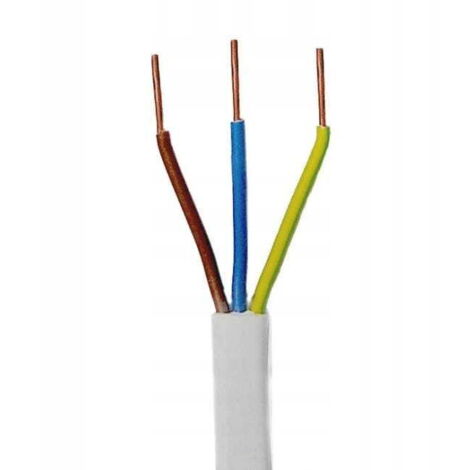 Câble électrique 3 x 2,5 mm² 5 m YDYp 450/750 V