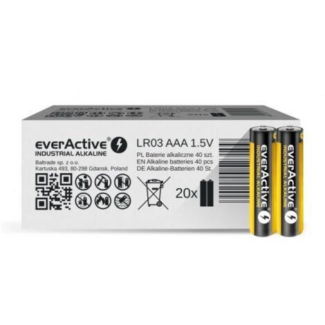 Piles alcalines industrielles AAA/LR03 everActive, lot de 40 (1/2)