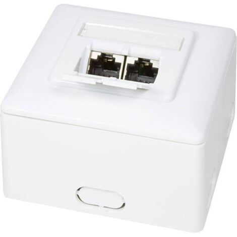Prise RJ45 complète 2 ports – NP0039A – Montage apparent CAT 6 – Angle 40 degrés – Métal verni blanc RAL 9003 – Logilink