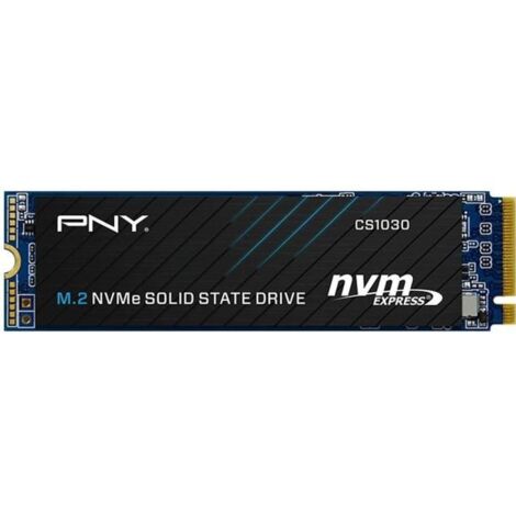 Disque SSD PNY CS1030 NVMe PCIe 250 Go (1/5)