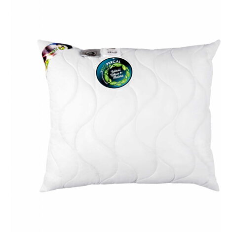 Oreiller Thermo 70x80 percale 100% 1000g Chaud Exclusif Premium (1/4)