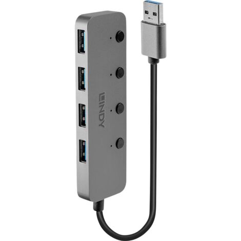 Hub USB 3.2 Gen 1 Lindy à 5 ports Type-A Gris (1/4)