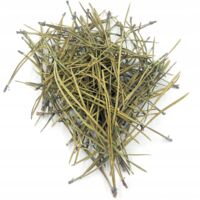 Aiguilles de pin 1 kg 100% naturelles – Emballage hermétique avec fermeture éclair – Idéal pour paillage et compostage