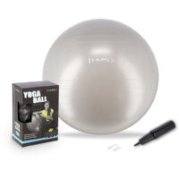 YB01 NOUVEAU BALLON DE GYMNASTIQUE GRIS 65CM HMS