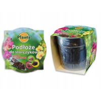 Ensemble de terreau pour orchidées avec pot 1,1 L