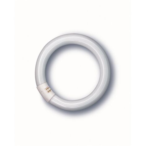NEON FLUORESCENTE LUMILUX Circolare G10q-Luce fredda 40W-3200 lumen-cm.41