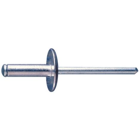 Index RECA4818-Chiodo a testa larga alluminio 4,8 x 18 Ud. (Confezione da 200)